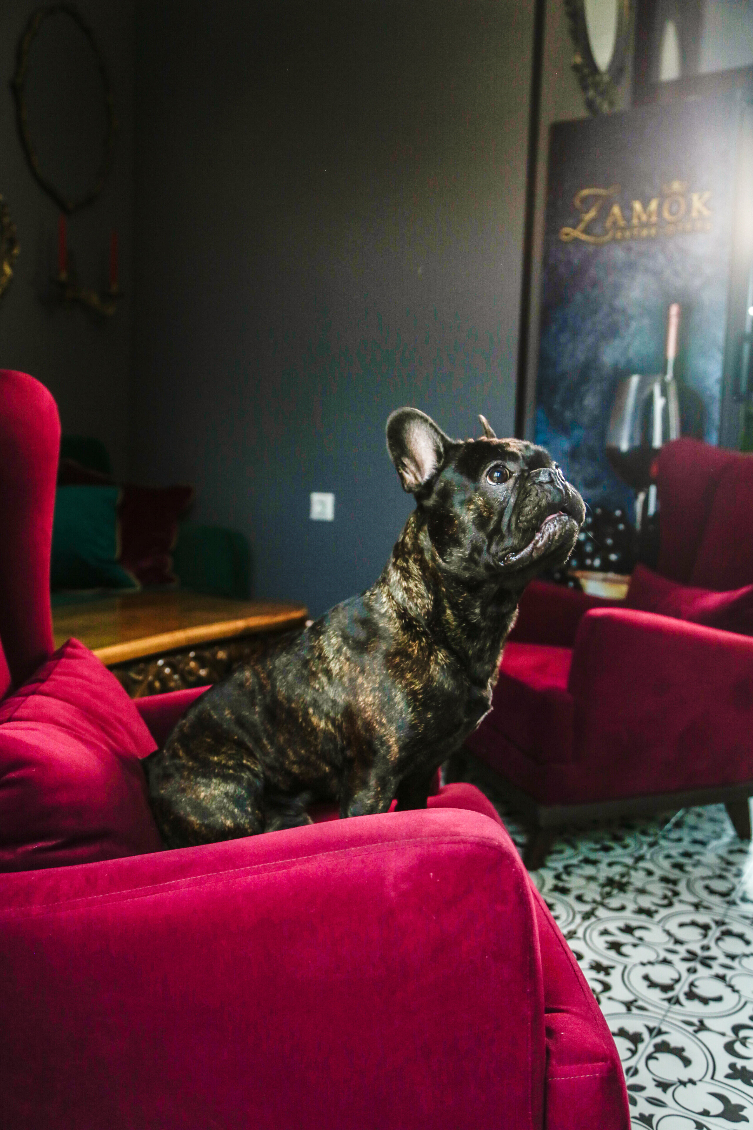 Фото Бутик-отель Замок