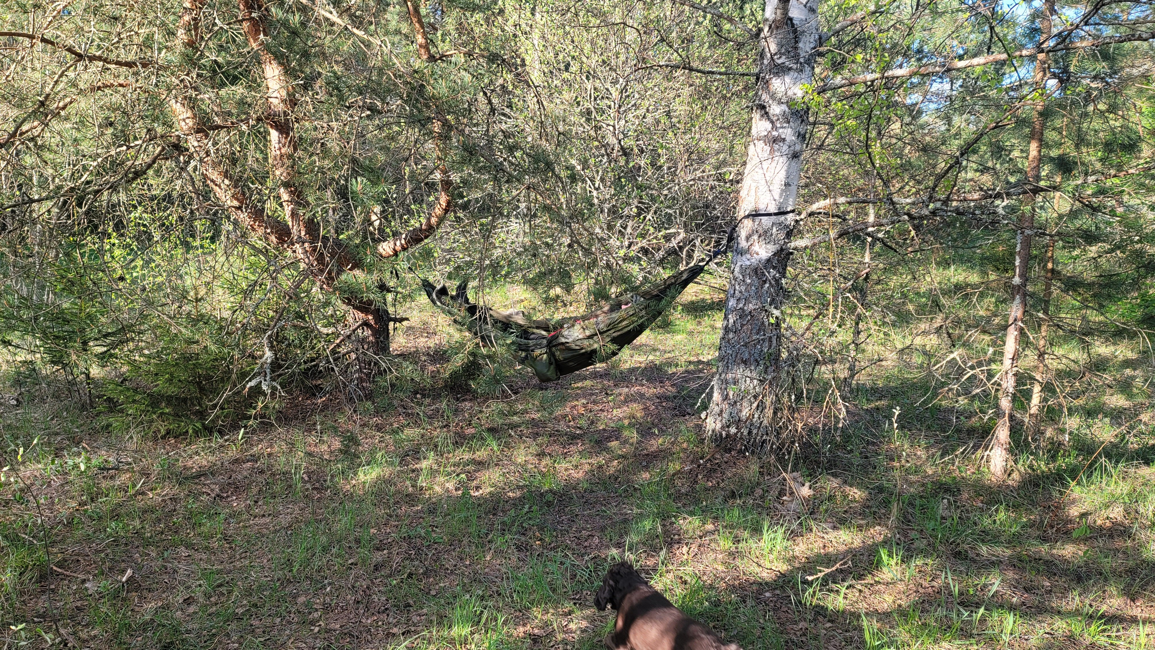 Фото Зелёная Тропа. Деревня