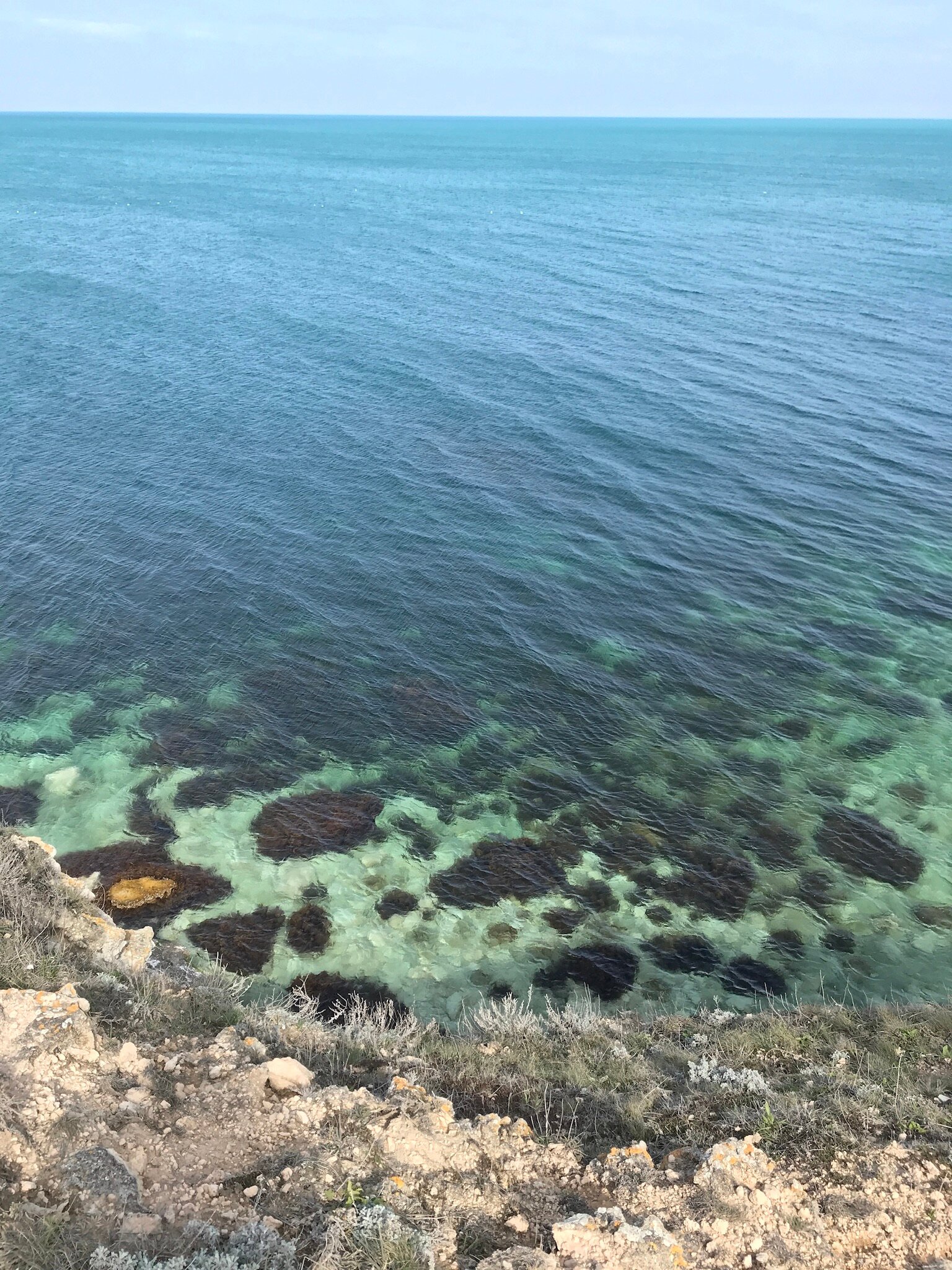 Фото Роза ветров