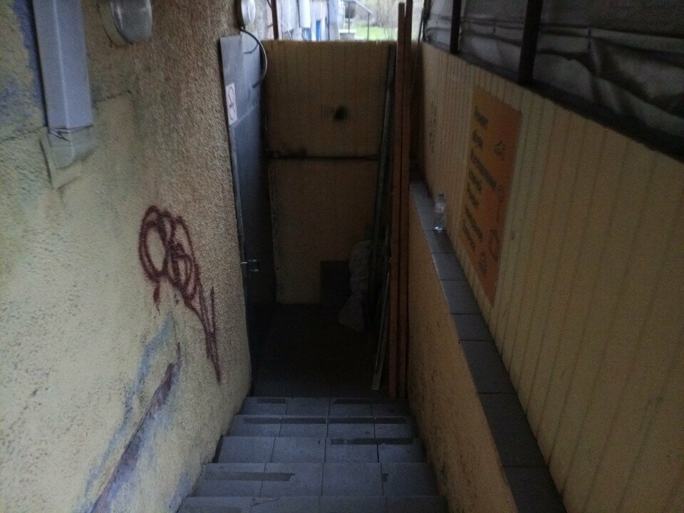 Зоосалон, зоопарикмахерская Студия груминга, Петрозаводск, фото