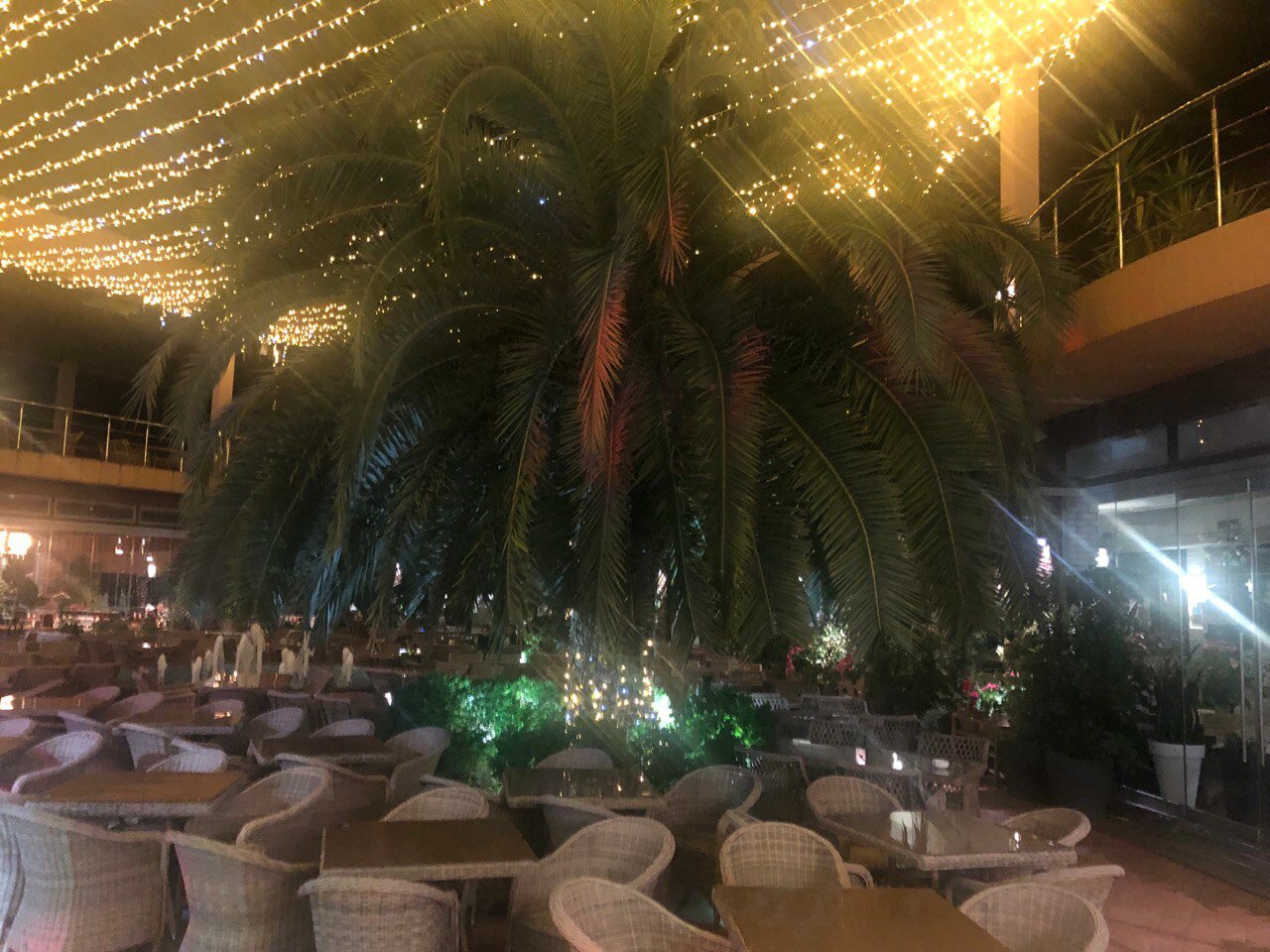 Фото Кармен