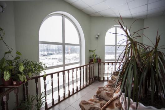 Фото Три льва