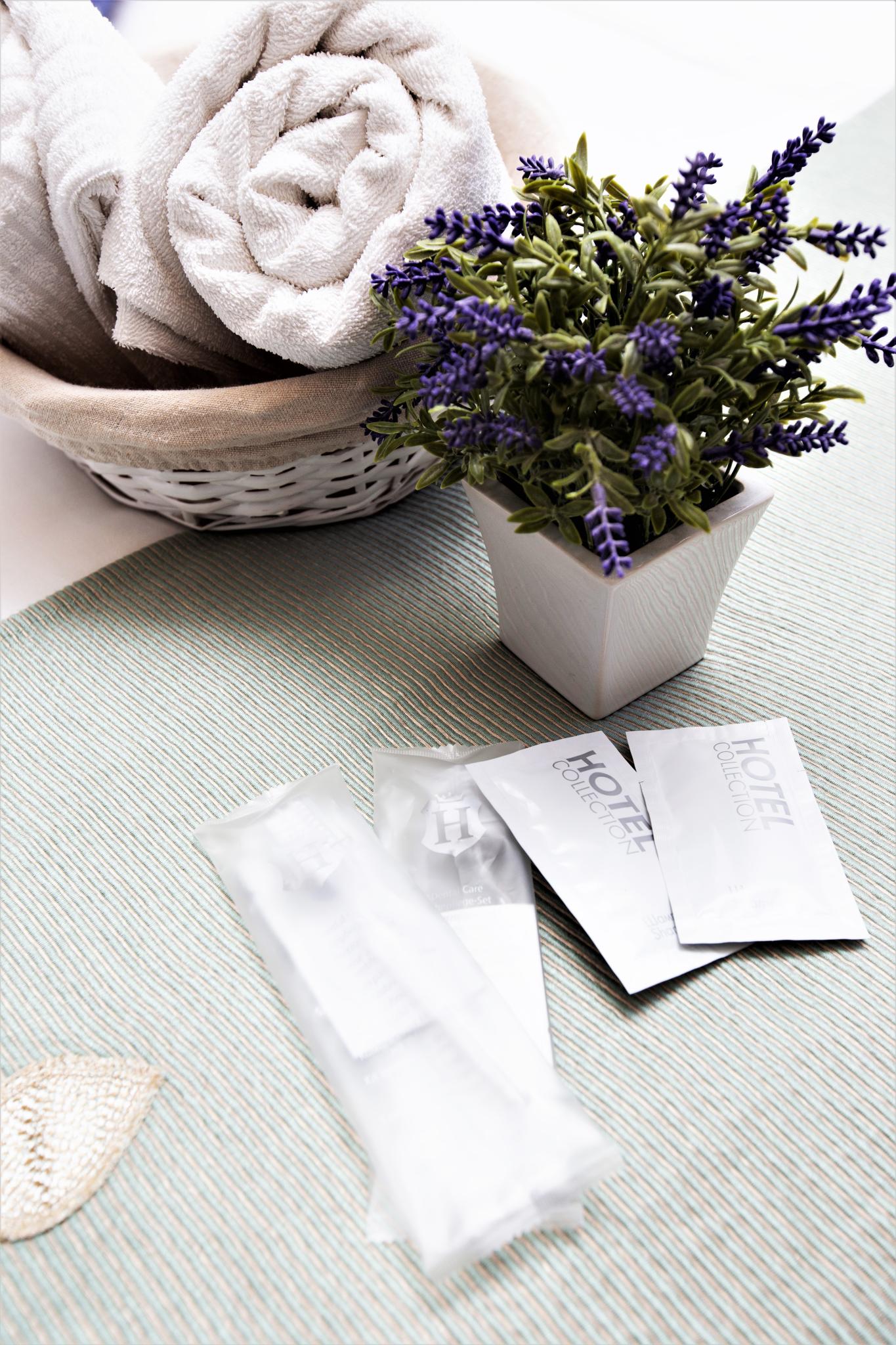 Фото Бутик-Отель Прованс