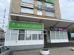 Severnaya Stolitsa (Troitskiy Avenue, 63), real estate agency