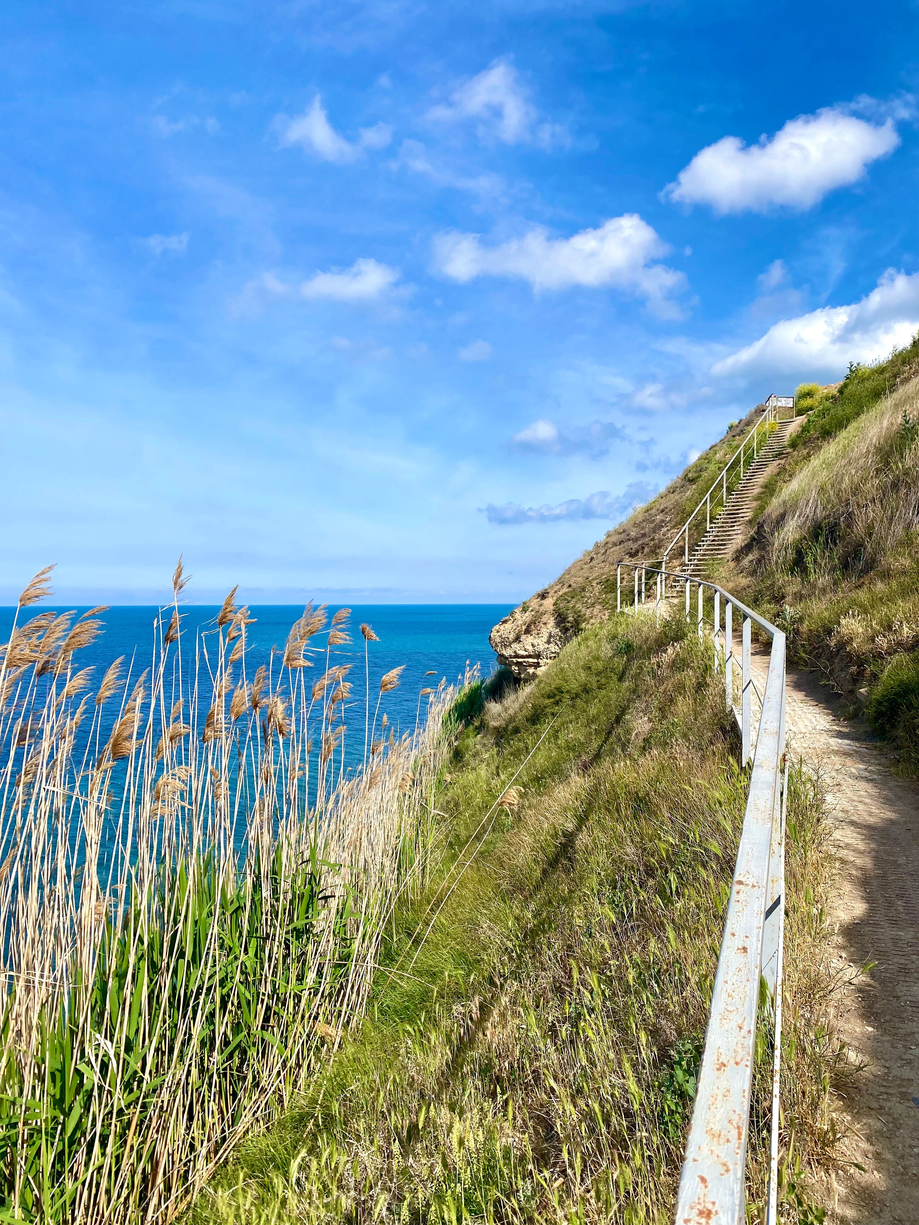 Фото Виколь