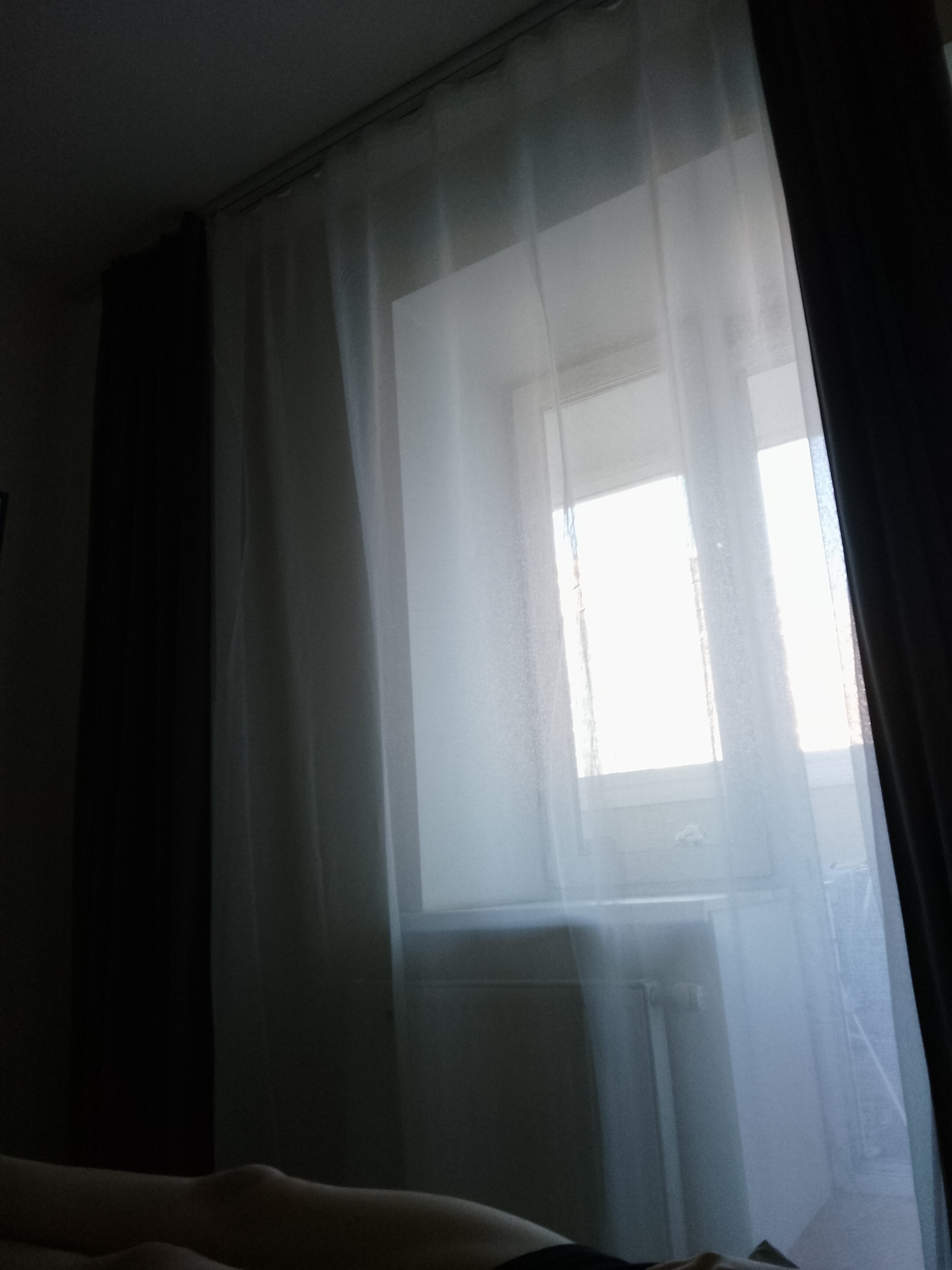 Фото Домотелли