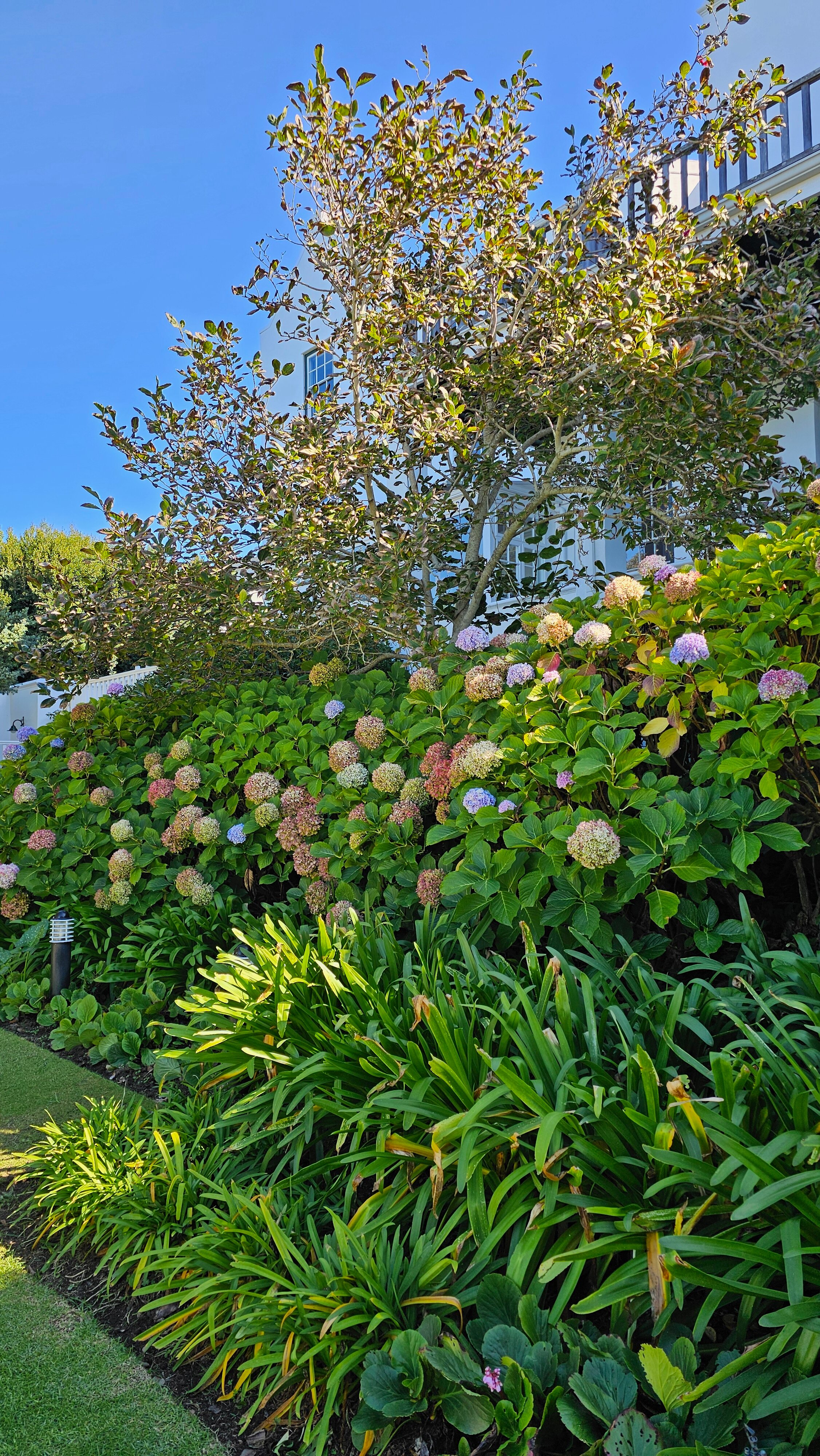 Фото The Cellars Hohenort