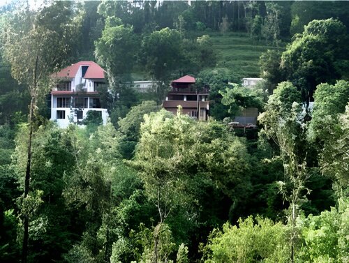 Гостиница Planet Green Plantation Resort