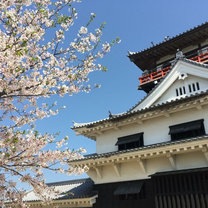 Гостиница Hotel Select Inn Shikoku Chuo