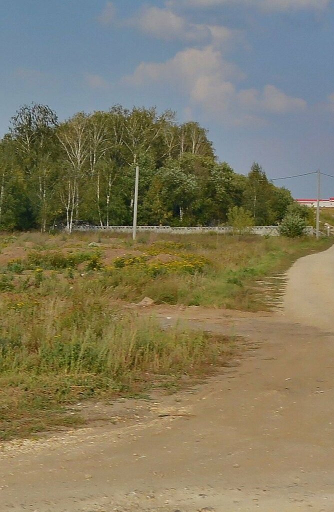 مقبرة Парфентьевское кладбище ، موسكو ومحافظة موسكو، صورة