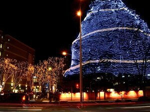 Гостиница Hotel Green Palace