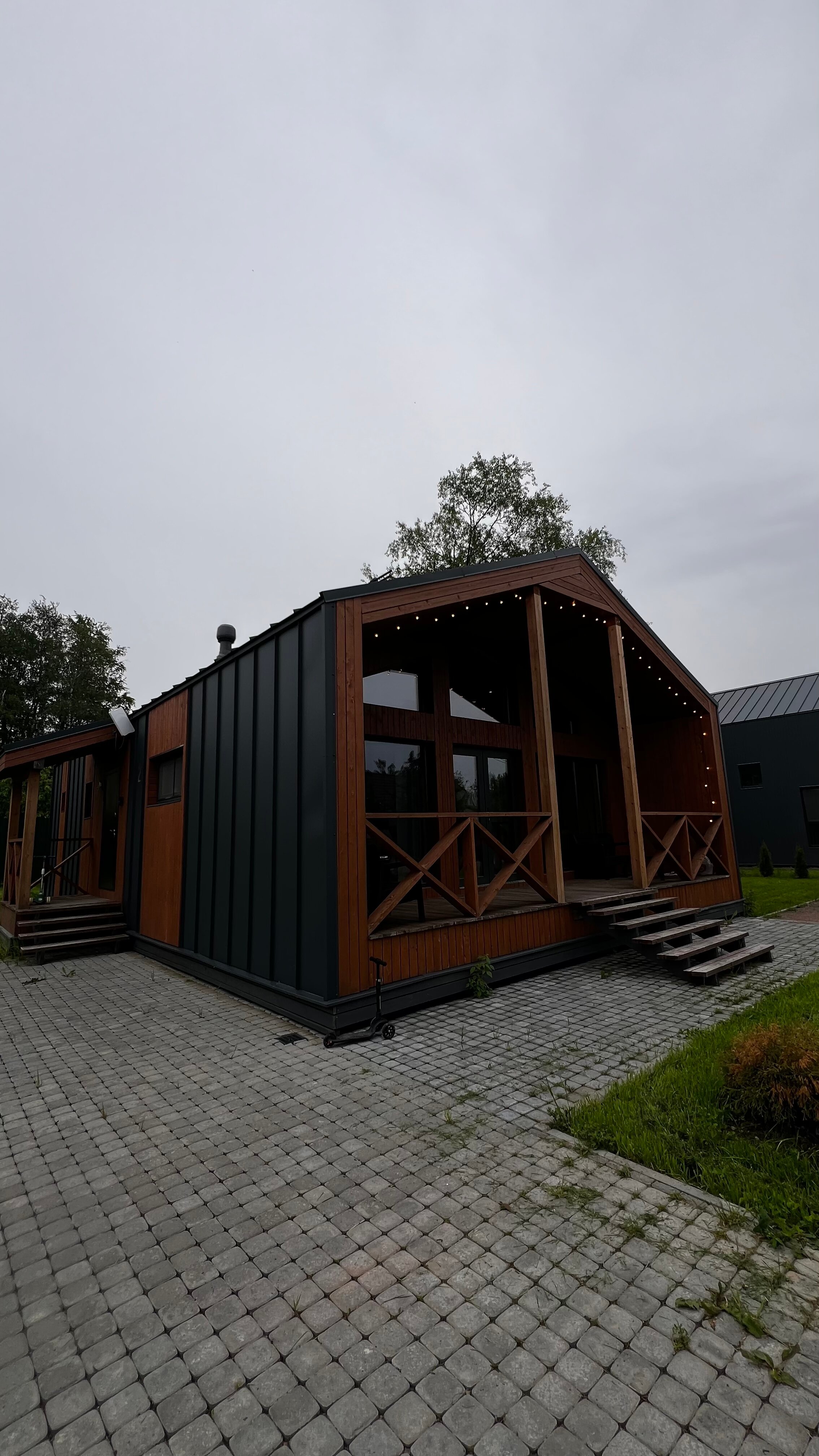 Фото Мята. Club