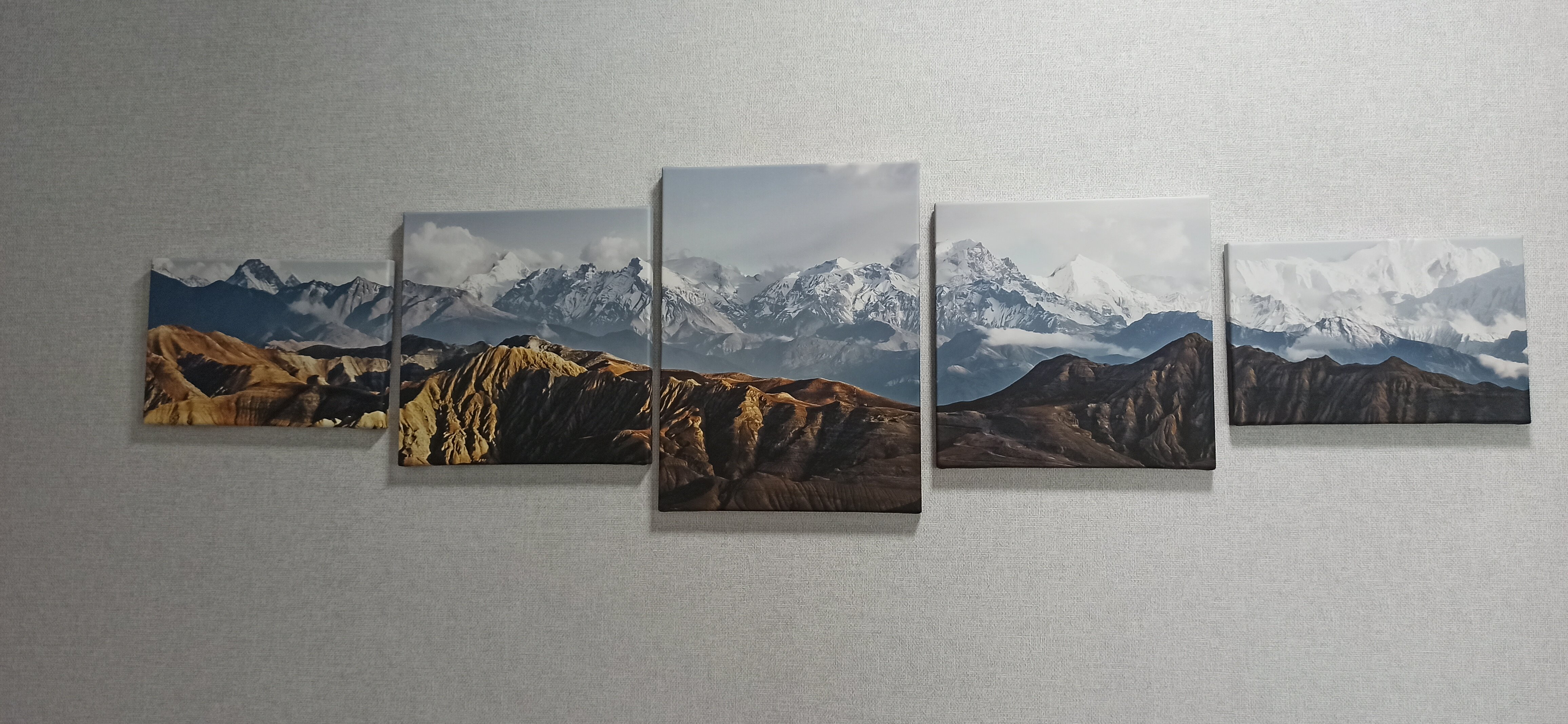 Фото Все Свои