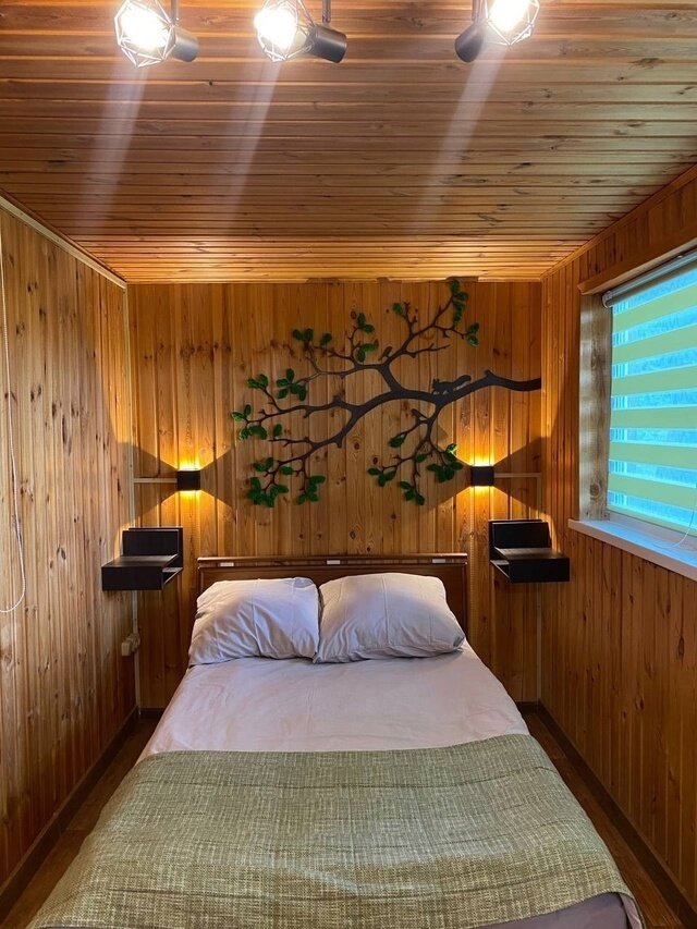 Фото Клевер