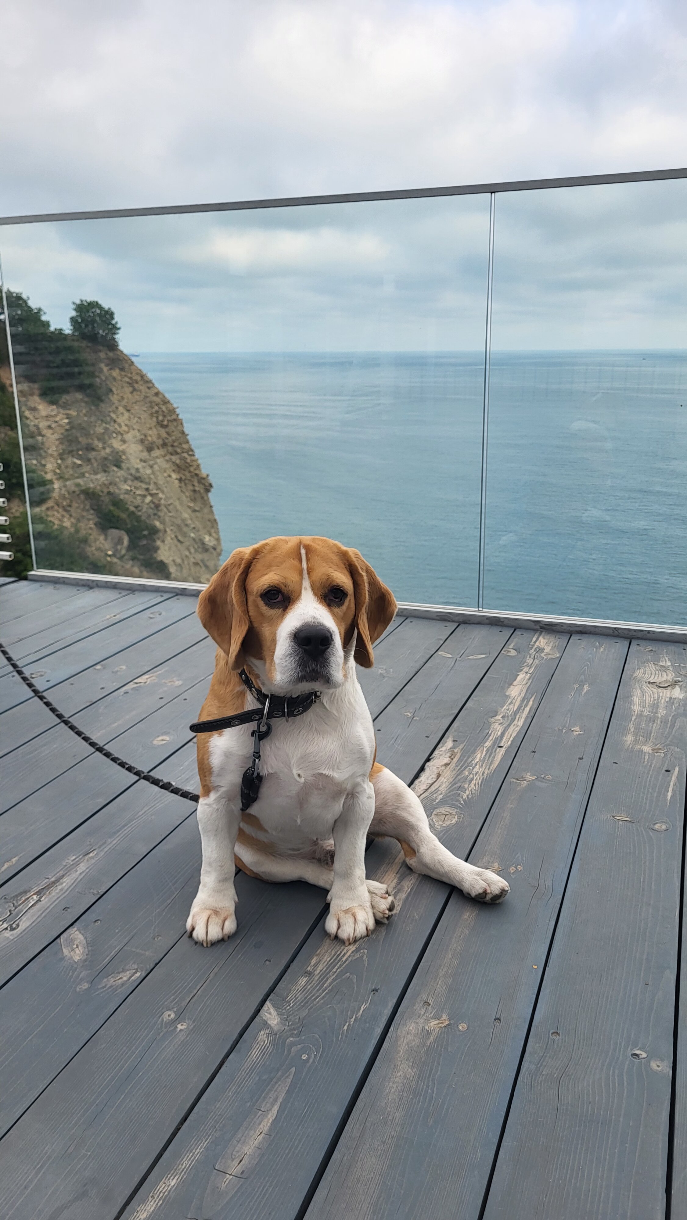 Фото Прибой