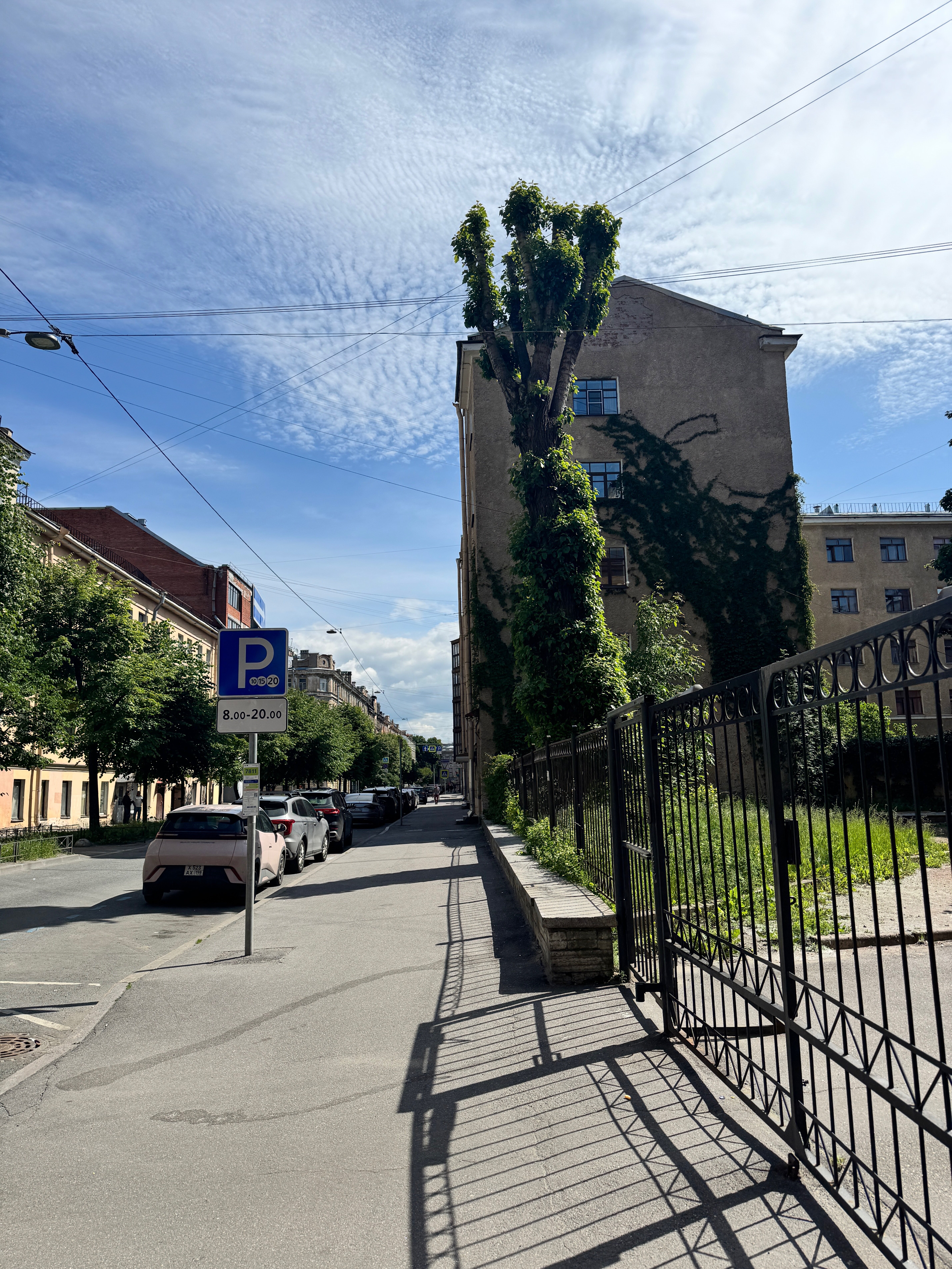 Фото Статский Советник