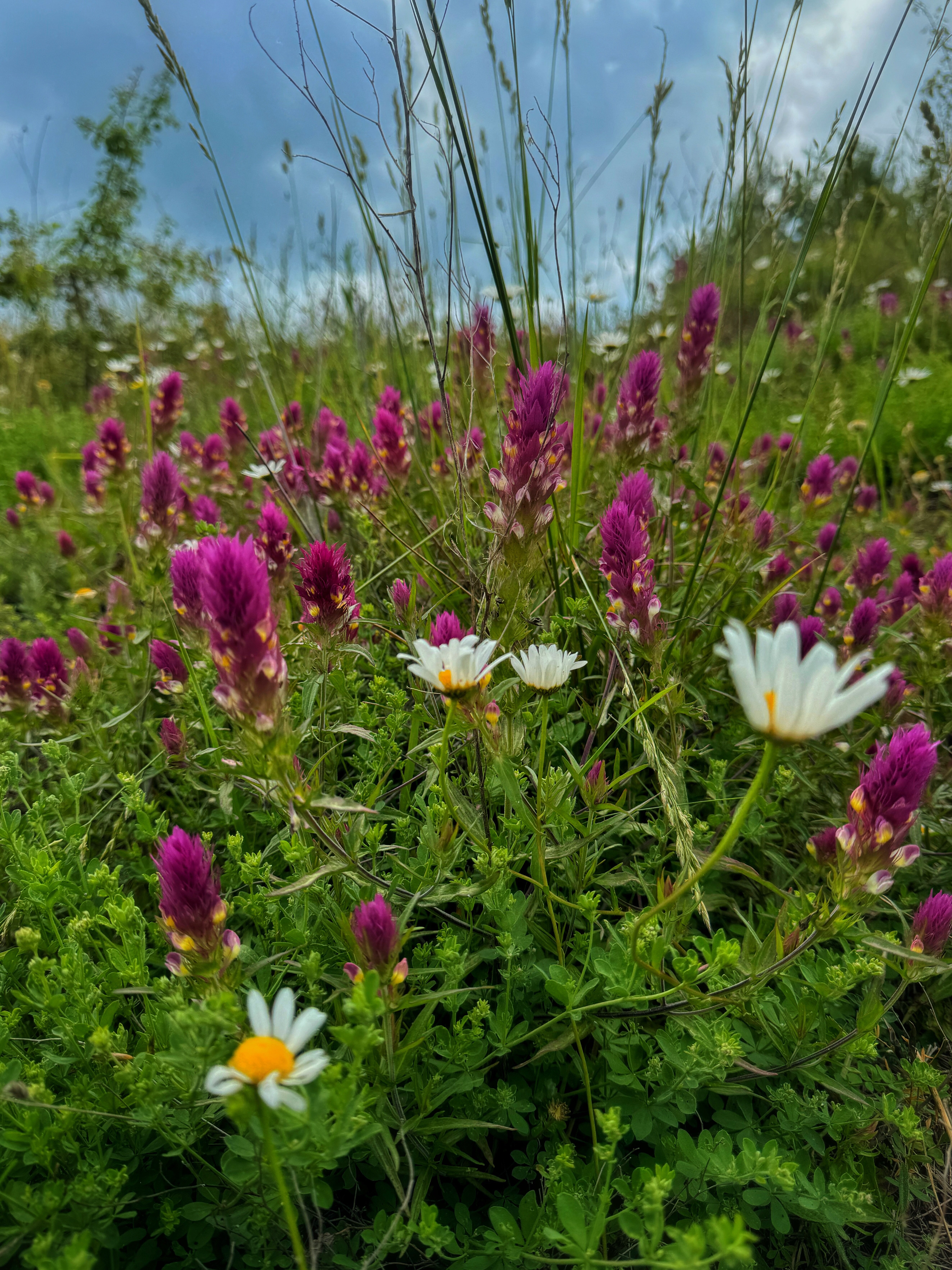 Фото Тихое Место