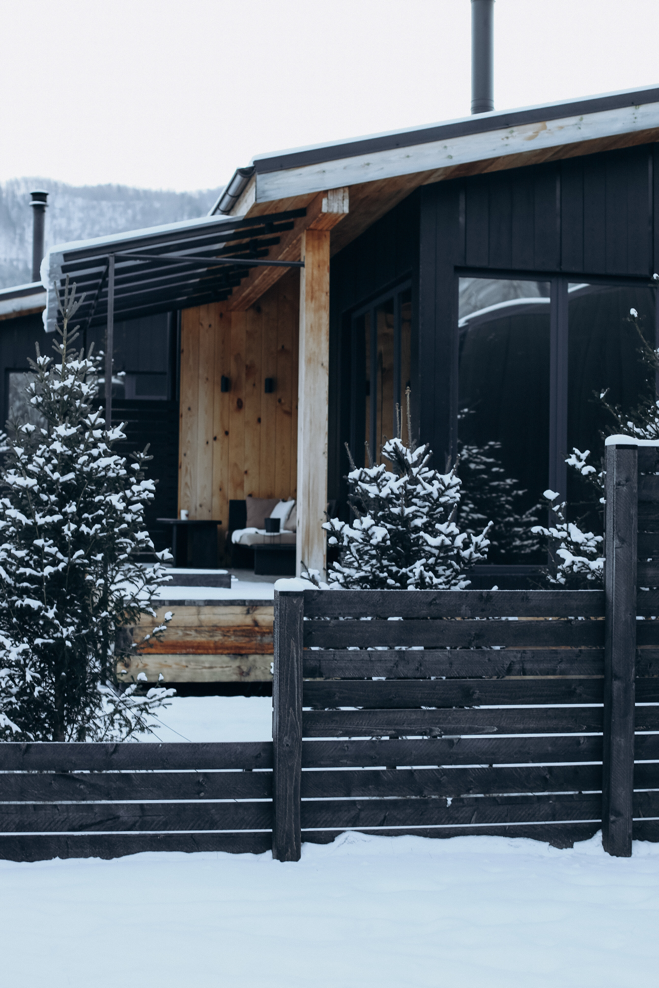 Фото Альпака