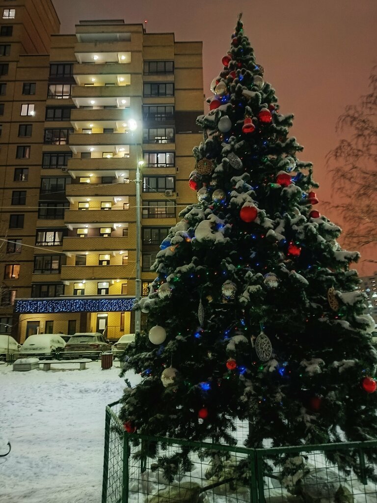 City tree Городская ёлка, Mytischi, photo