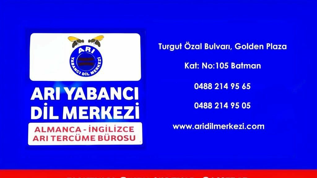 Foreign language courses Bee Language Education Center, Batman, photo