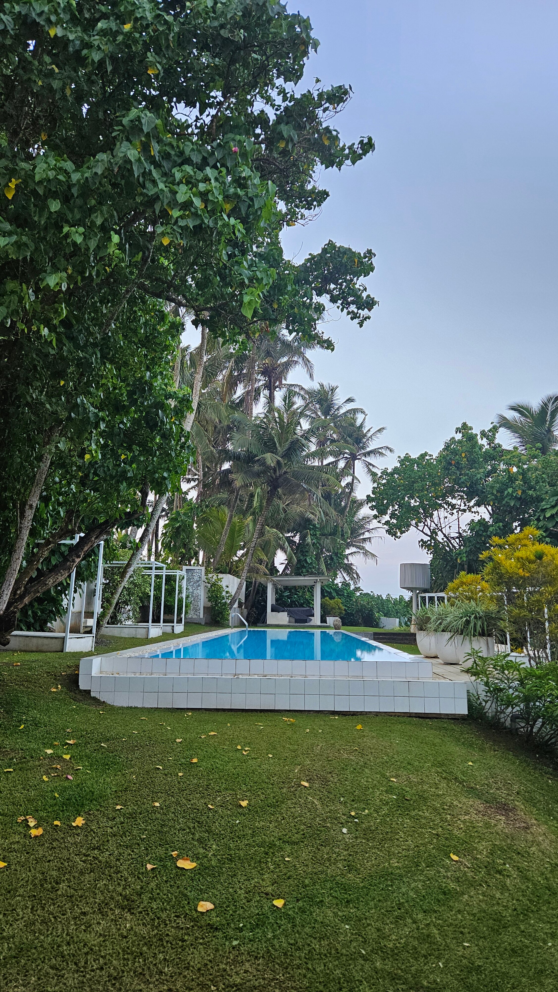 Фото W15 Weligama