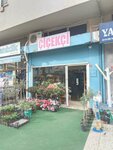 Florist (İstanbul, Kadikoy, Merdivenköy Mah., Şair Arşi Cad., 17B), floristeria
