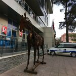 Dokuz Eylul University Faculty of Veterinary Medicine (Izmir, Kiraz, Cumhuriyet Neighborhood, Mosque Street, 3/D), university