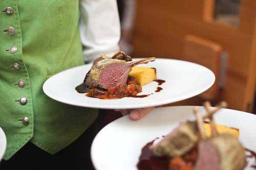 Фото Rosa Canina