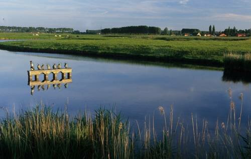 Внешний вид отеля Hotel Shamon в Экле, фото 5