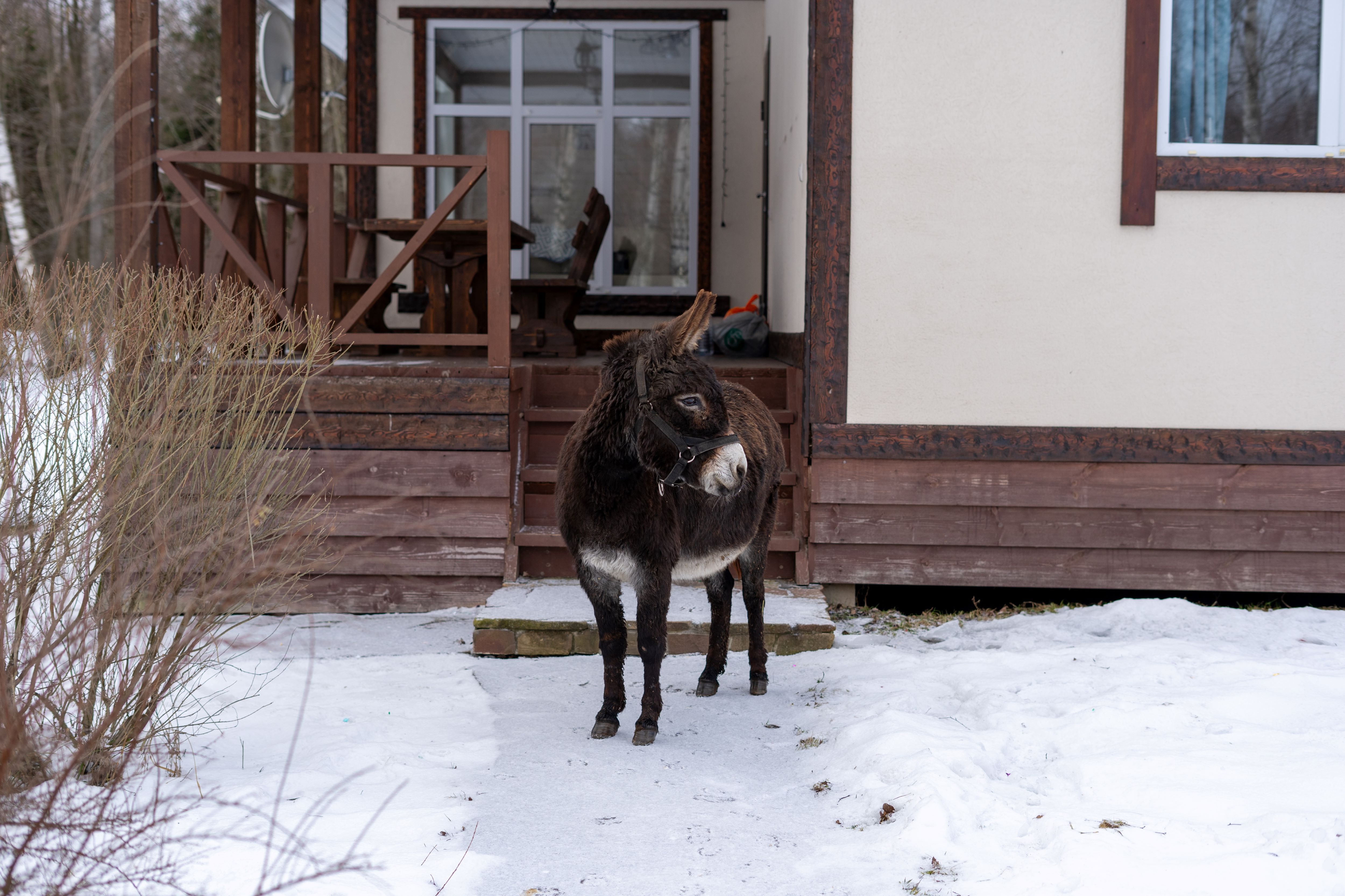 Фото Дом на Лесной Опушке