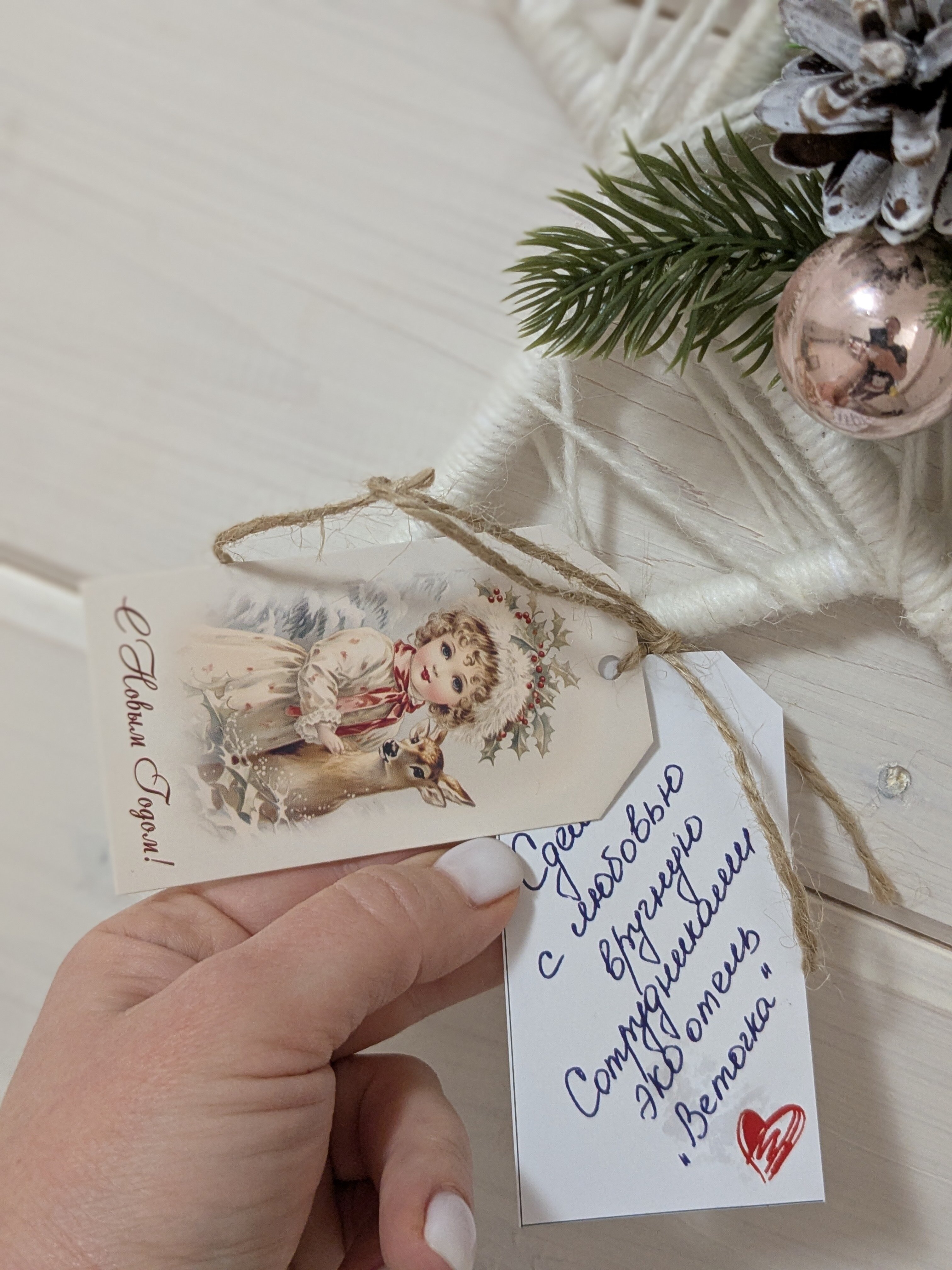 Фото Веточка