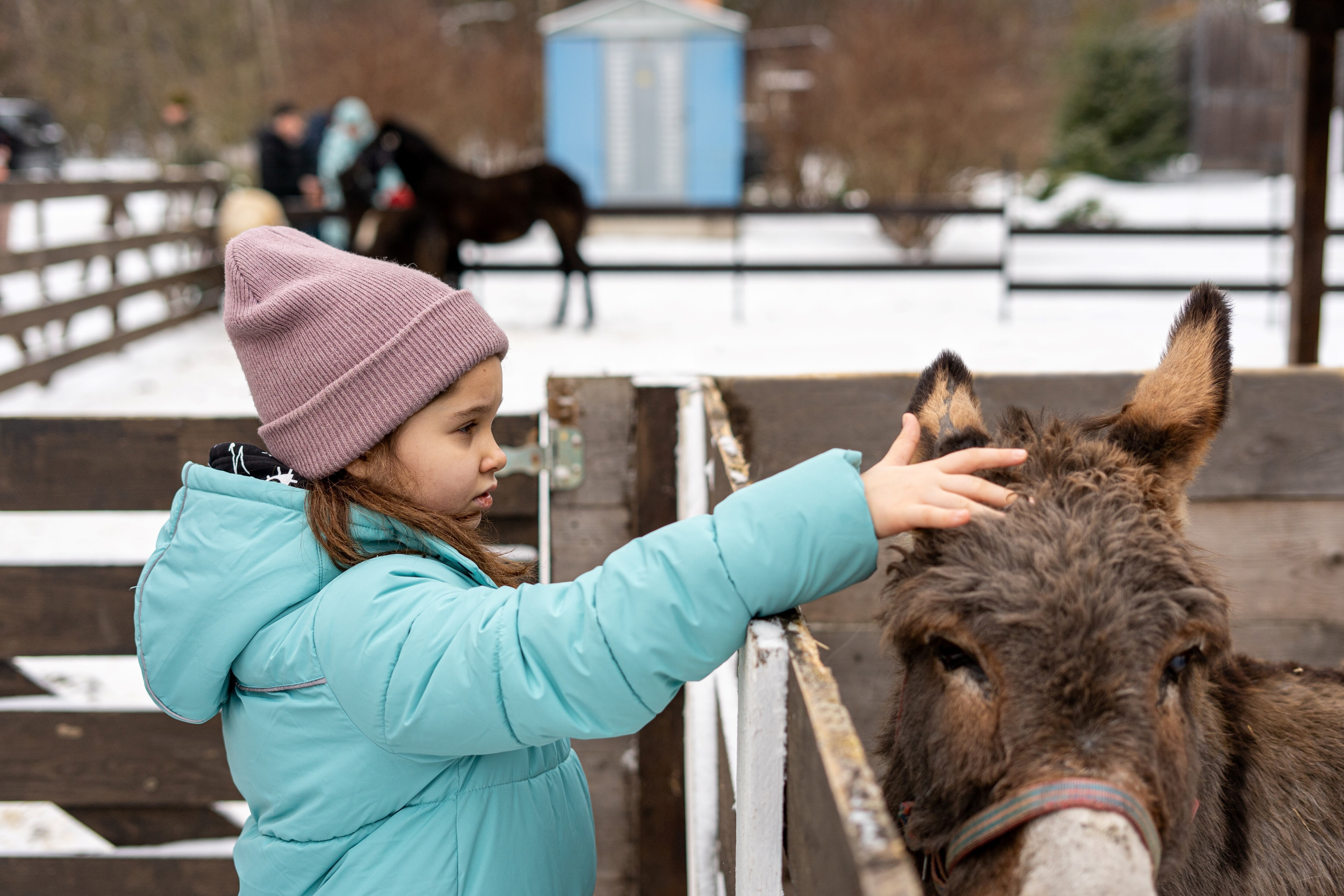 Фото Дом на Лесной Опушке