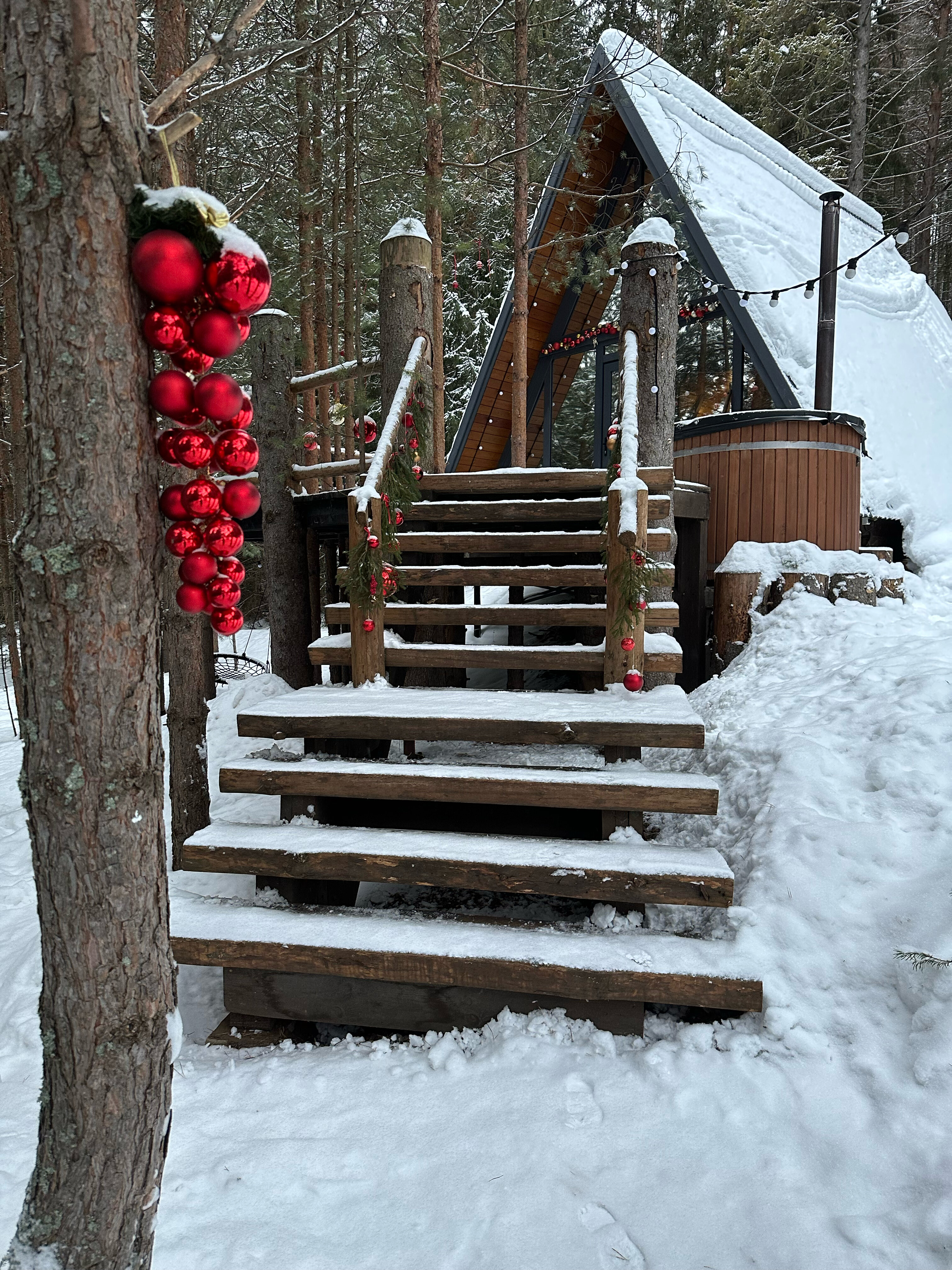 Фото Хвойная Хижина