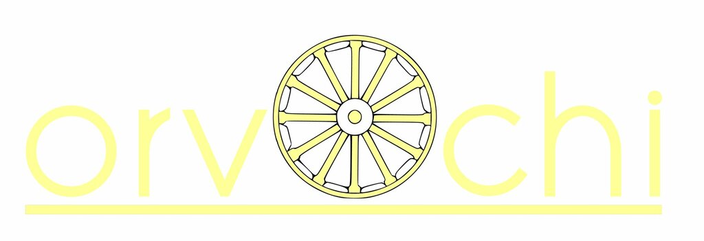 Restaurant Orvochi, Tashkent, photo