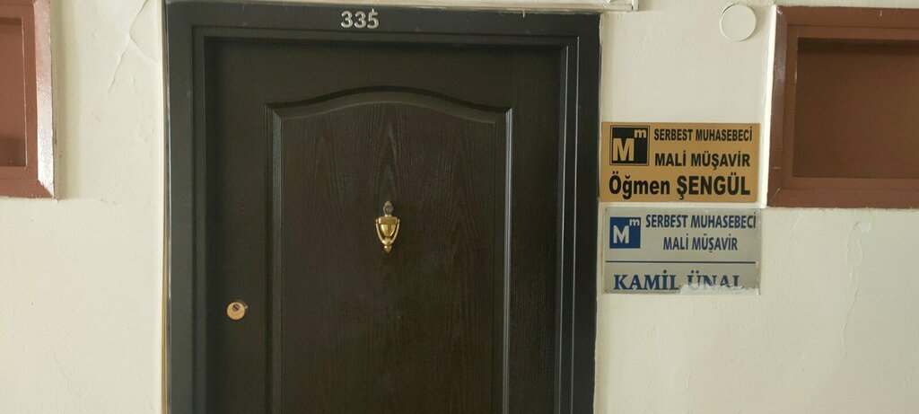 Tax consultants Freelance Accountant and Financial Advisor Ogmen Sengul, Izmir, photo