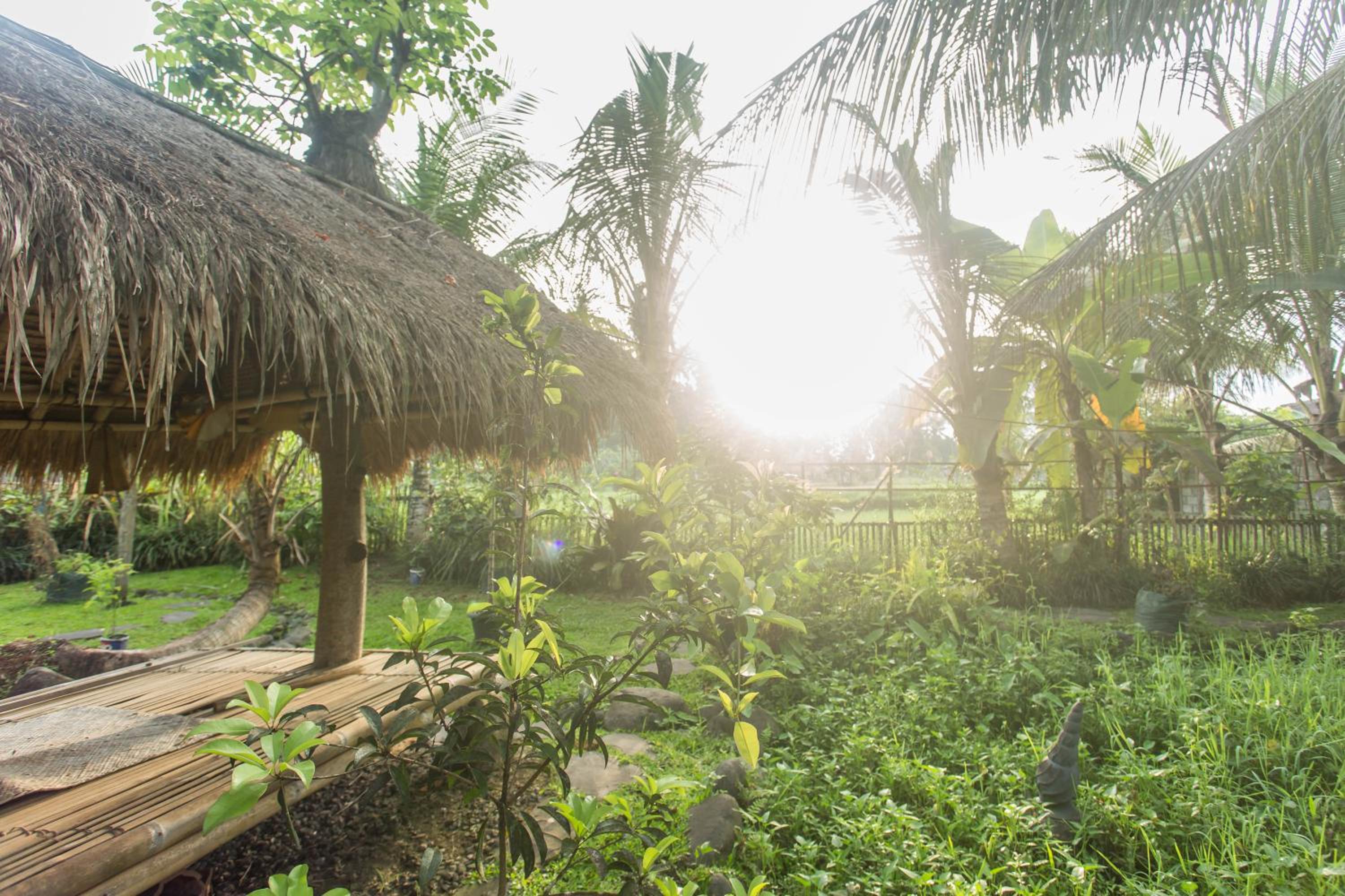 Фото Ubud Luwih Villa