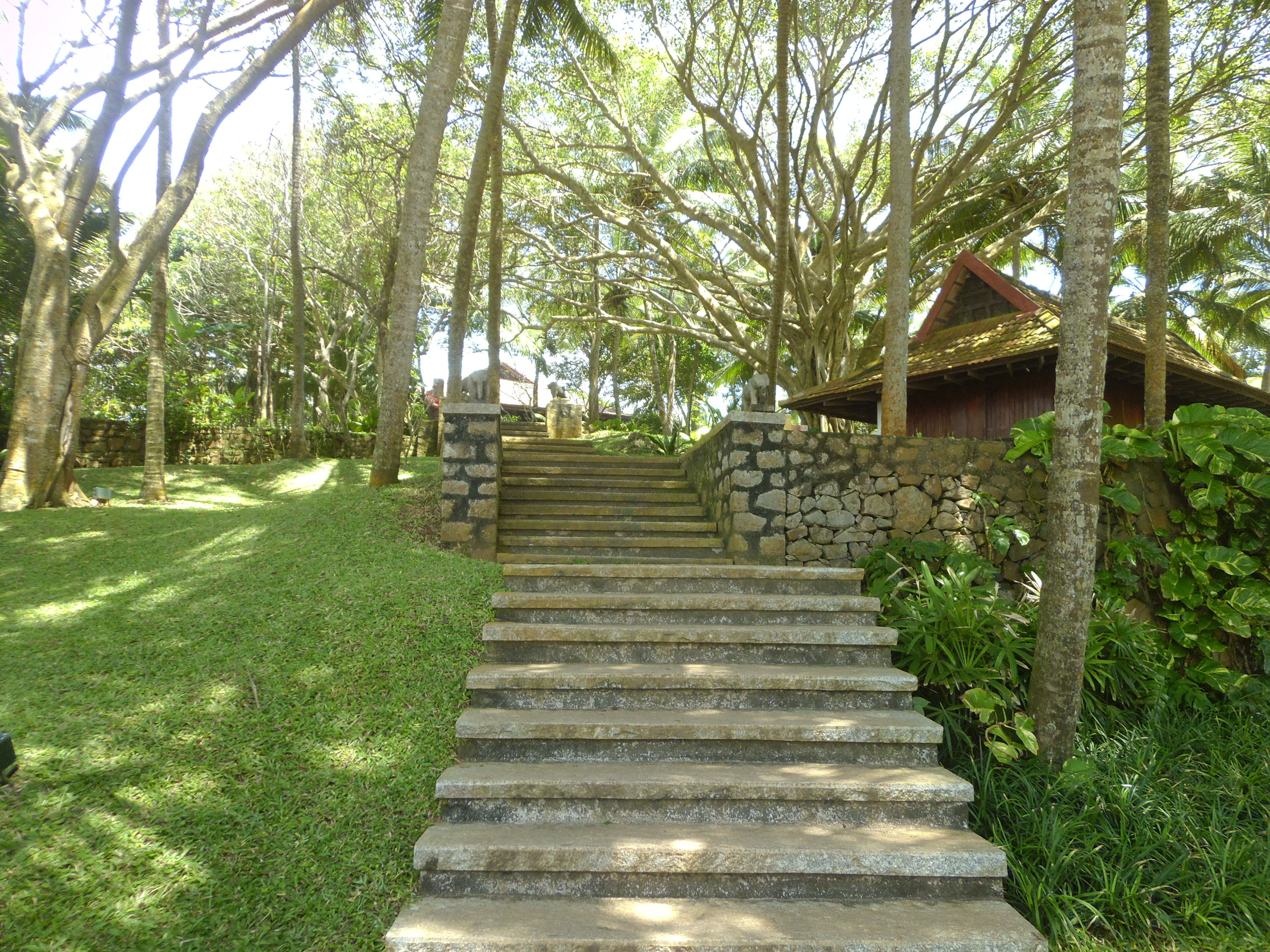 Фото Niraamaya Surya Samudra