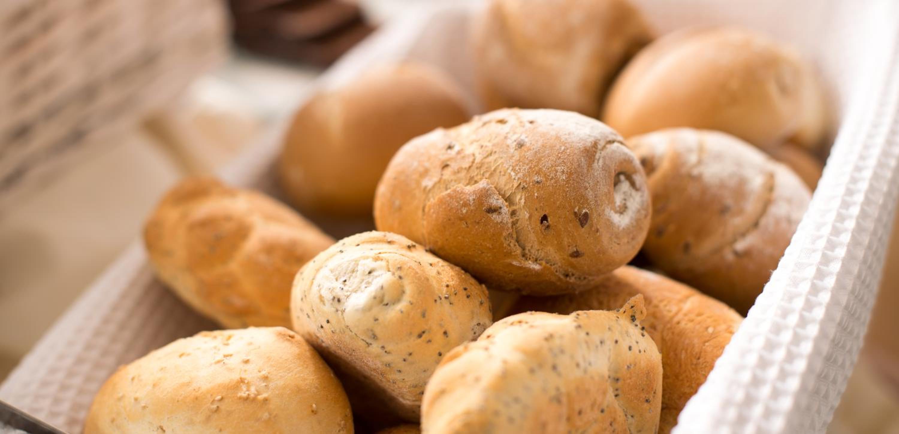 Фото Hotel Trevi