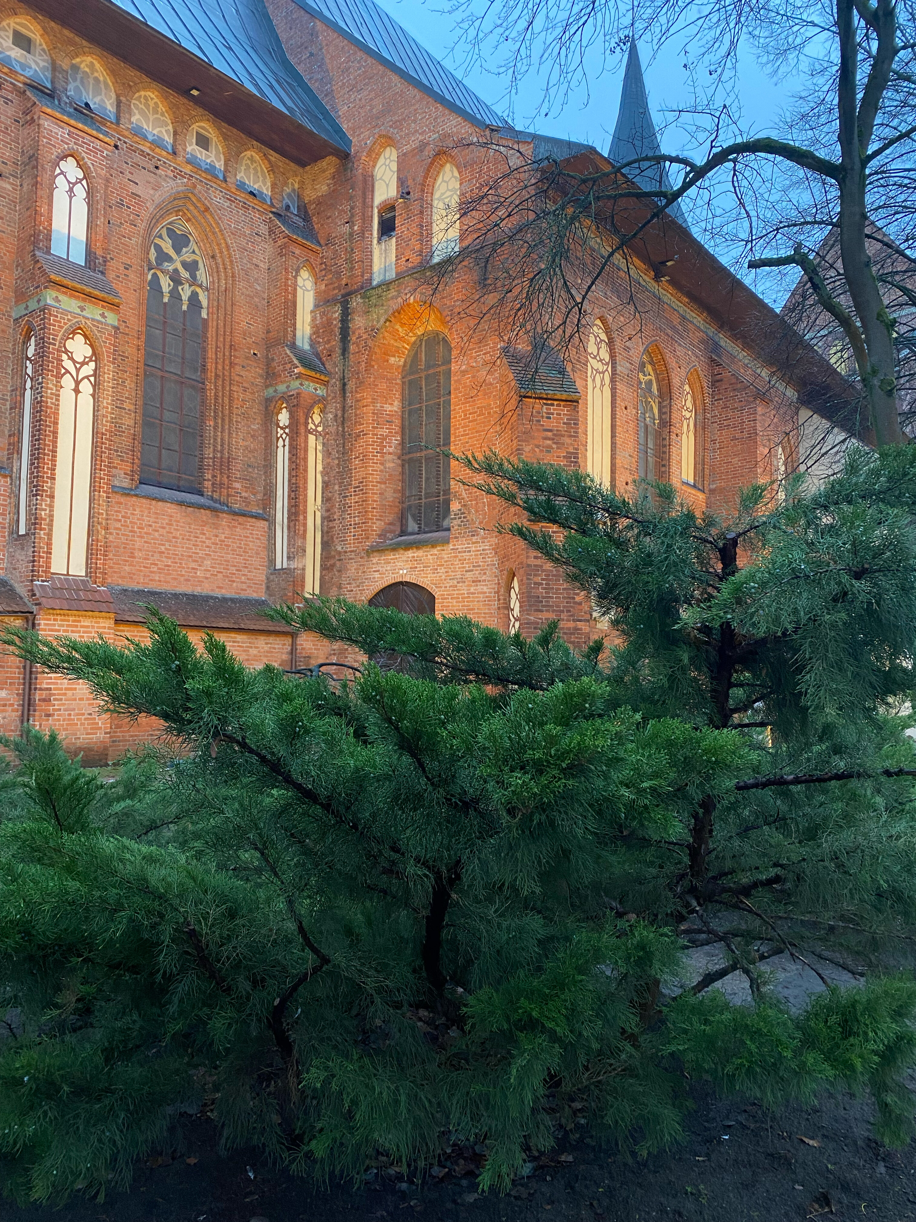 Фото Парк-отель Маякоvsкий