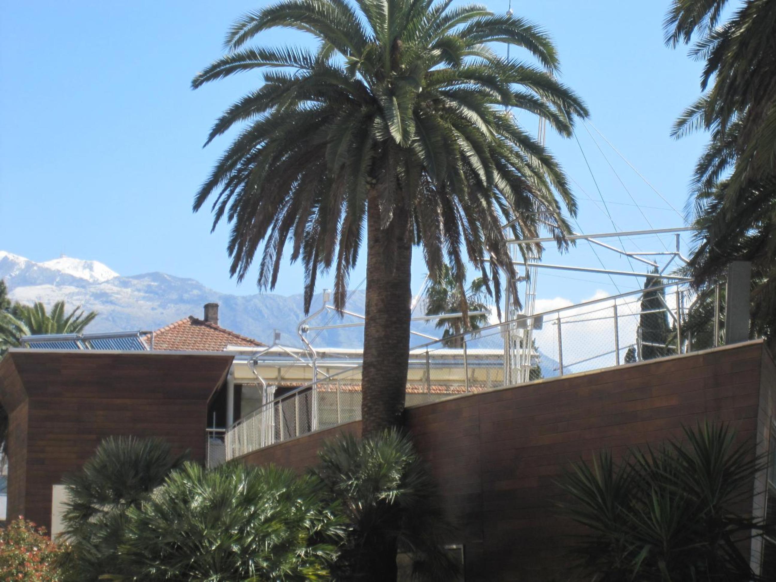 Фото Apartments City Center