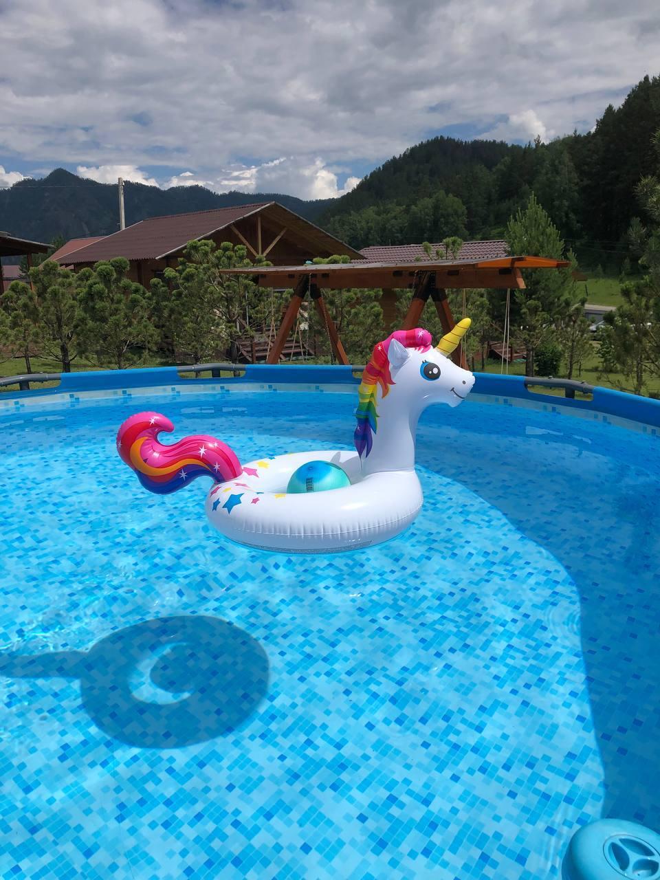 Фото Радость