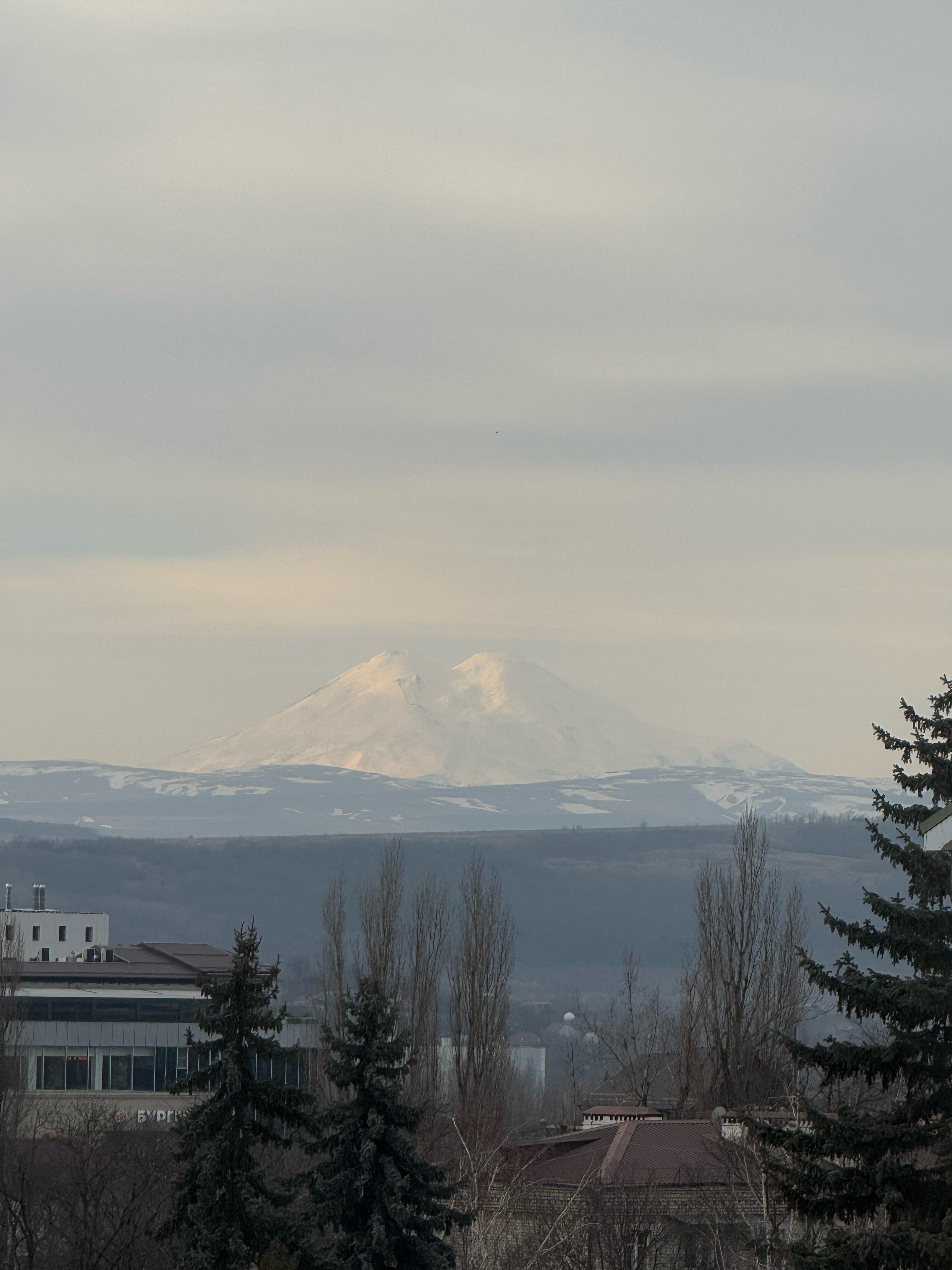 Фото Оливия