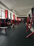 Grizzly (Industrialnaya Street, 17), gimnasio de deportes