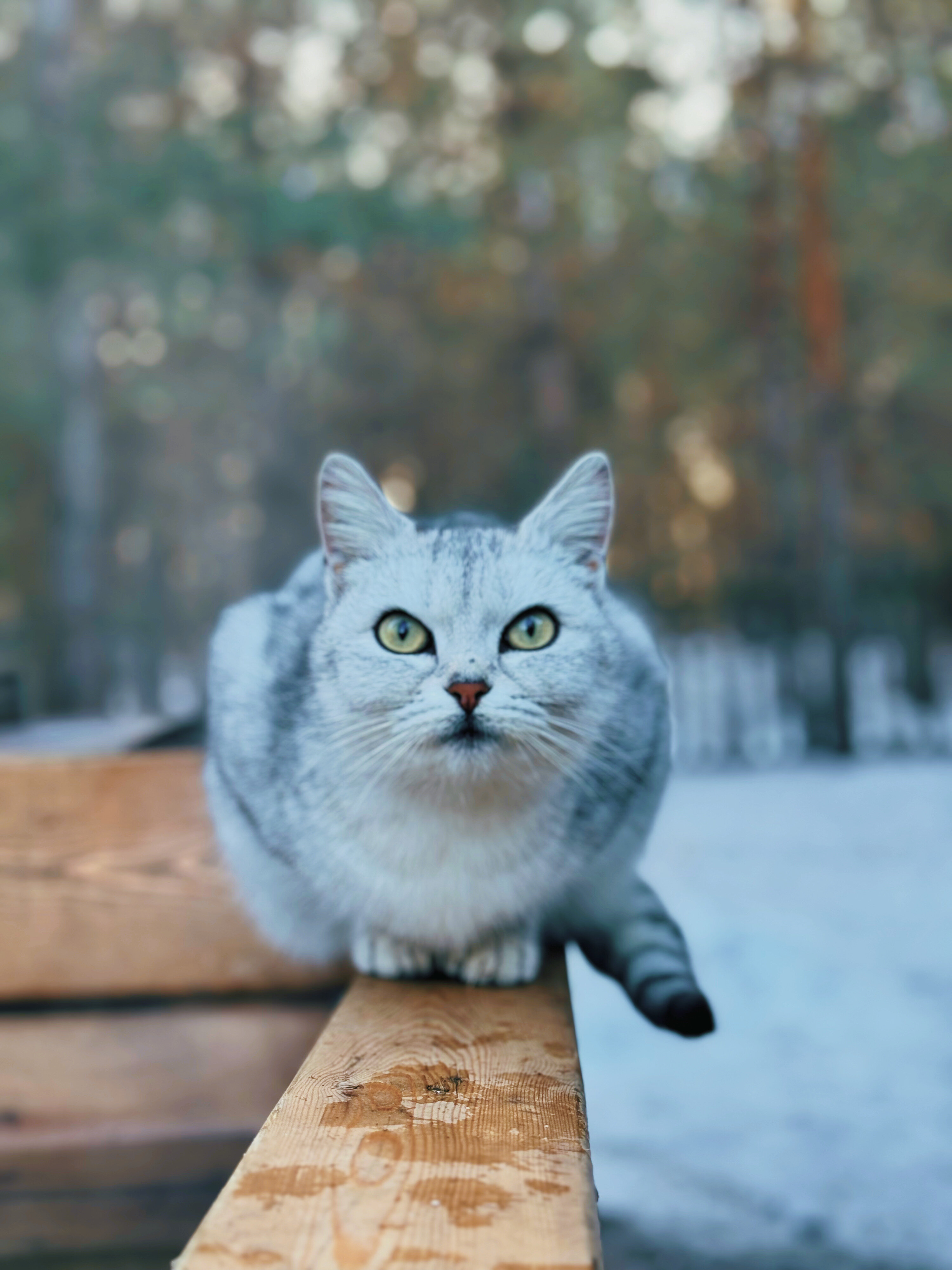 Фото Место счастья