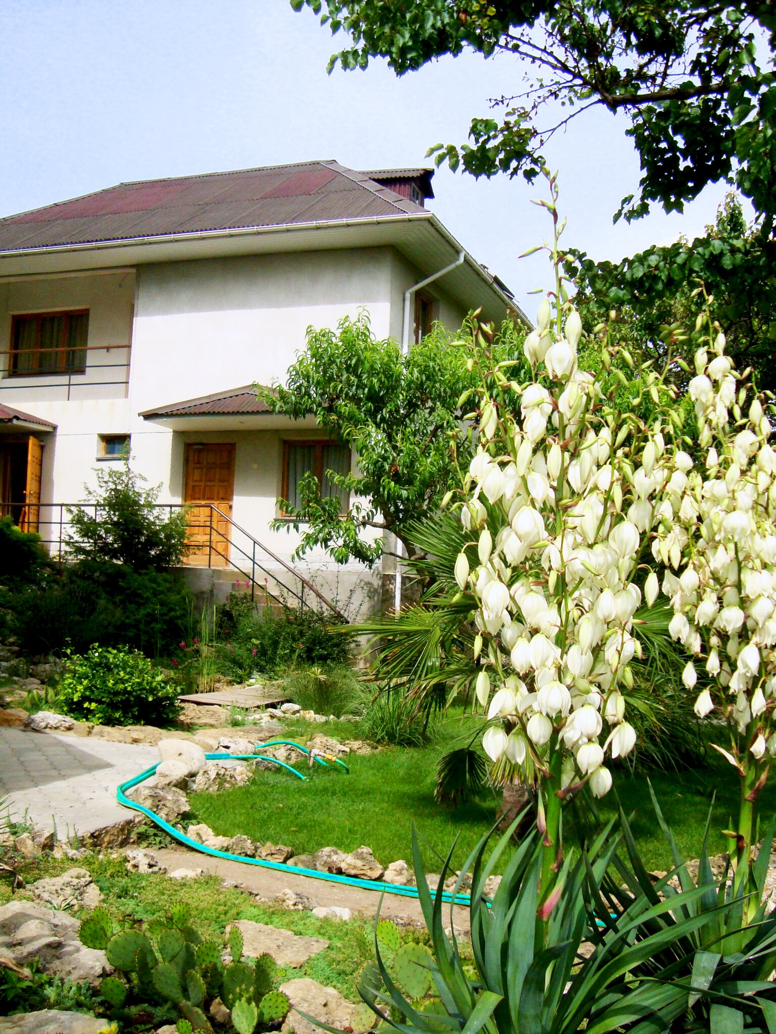 Фото Солнечная Ривьера