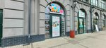 Meerkat (Artilleriyskaya Street, 79) ، دورات لغة أجنبية