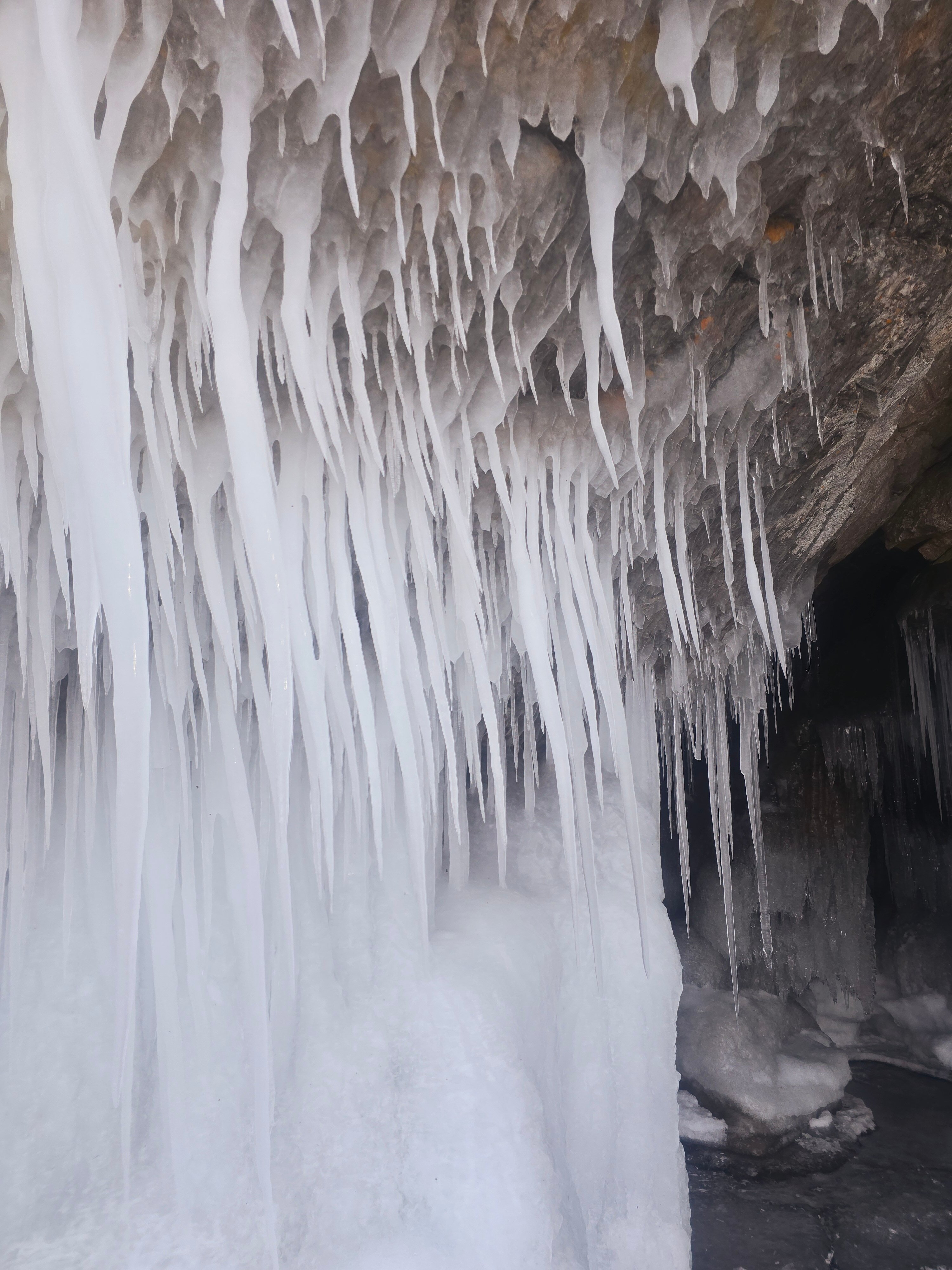 Фото Иволга