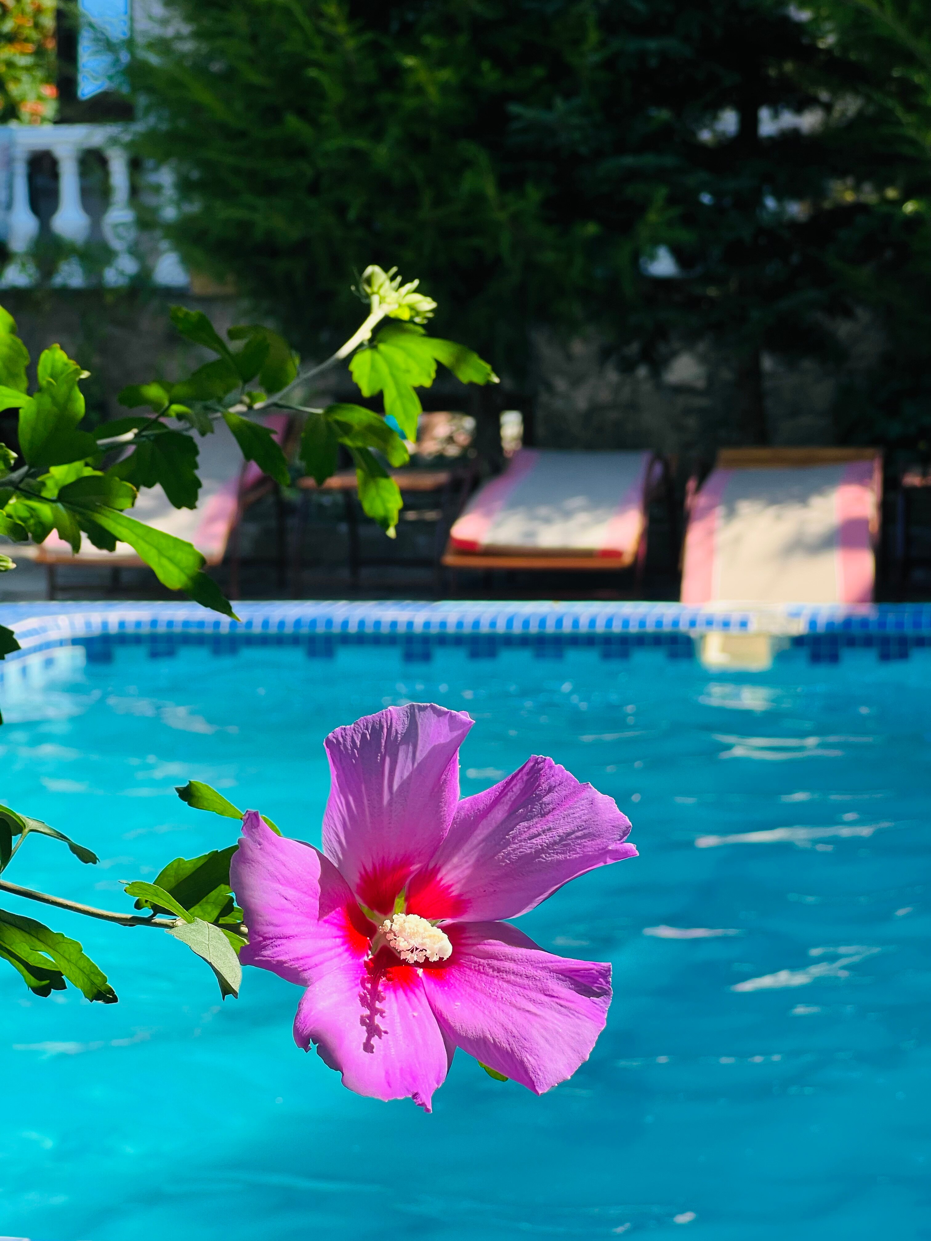 Фото Испанский дворик