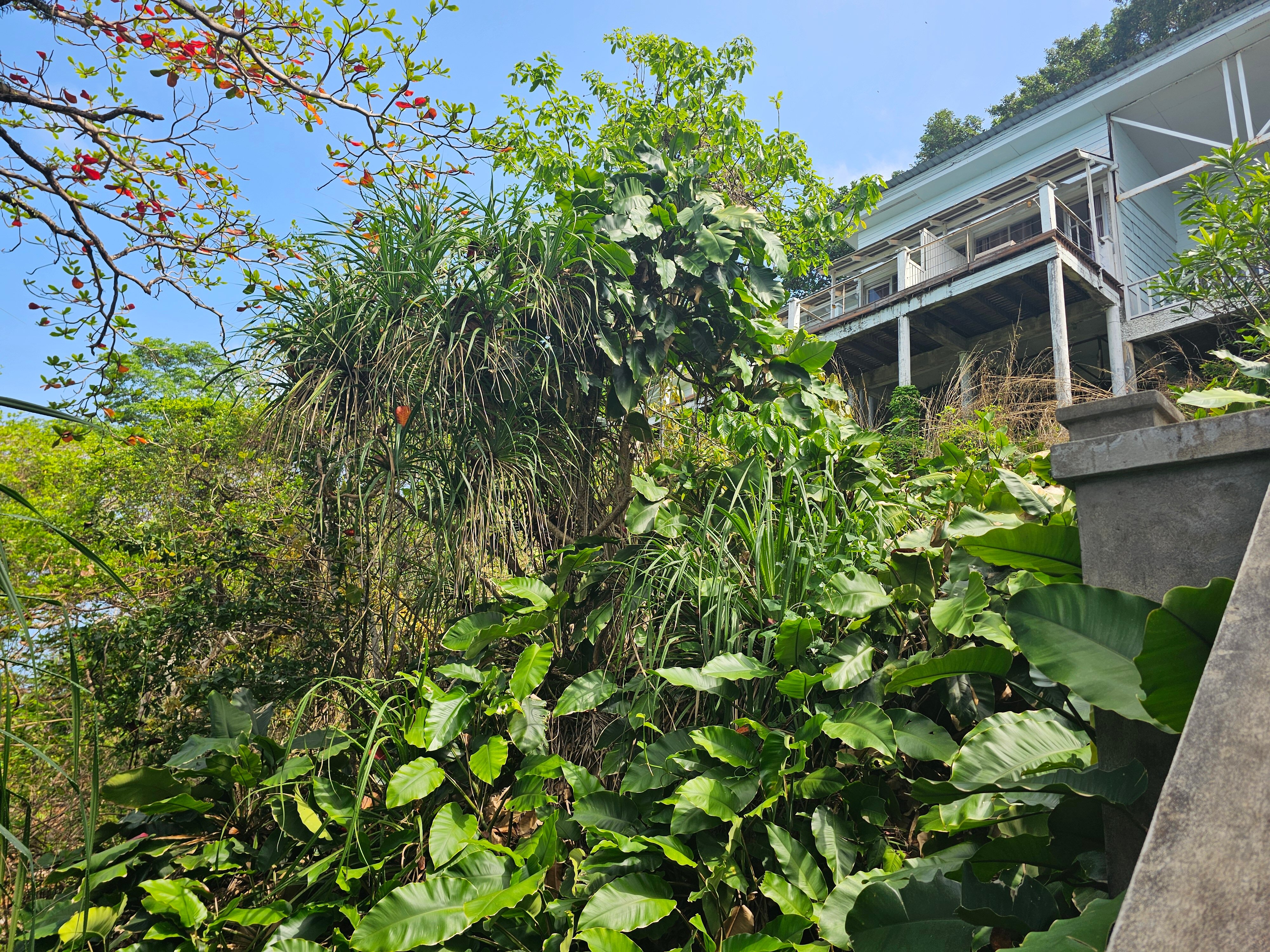 Фото Koh Chang Cliff Beach Resort