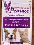 Феникс (Ignatevskoye Highway, 10/6), salón de mascota, peluquería de animales